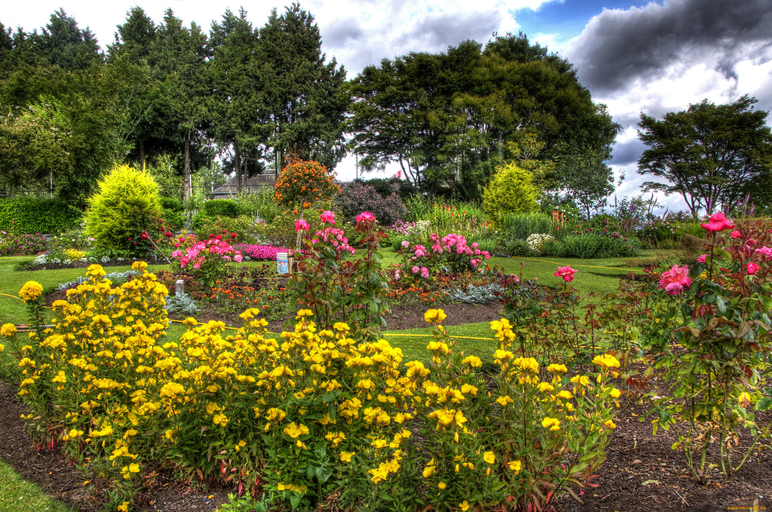 Желтый сад. Канада сады Queen Elizabeth Garden Ванкувер. Сад в желтых тонах. Желтый цветник. Клумба с желтыми цветами.